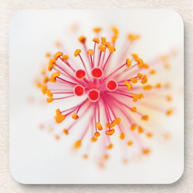 Hibiscus Hard Plastic Coasters (set of 6) (Front)