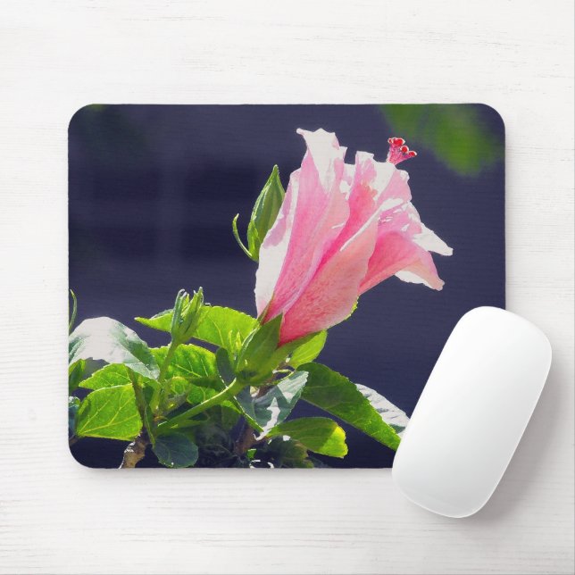 Hibiscus in Bright Sunlight Mouse Pad (With Mouse)