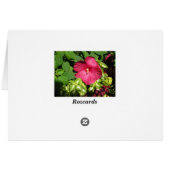 Hibiscus in sunlight cards (Back Horizontal)