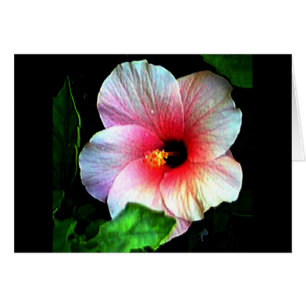 Hibiscus jGibney The Museum Zazzle Cards