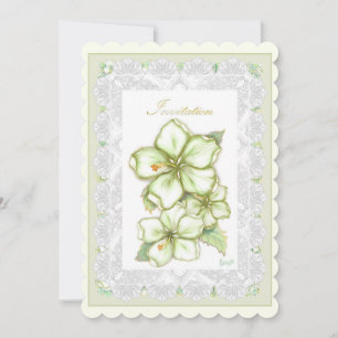 Hibiscus & lace WHITE