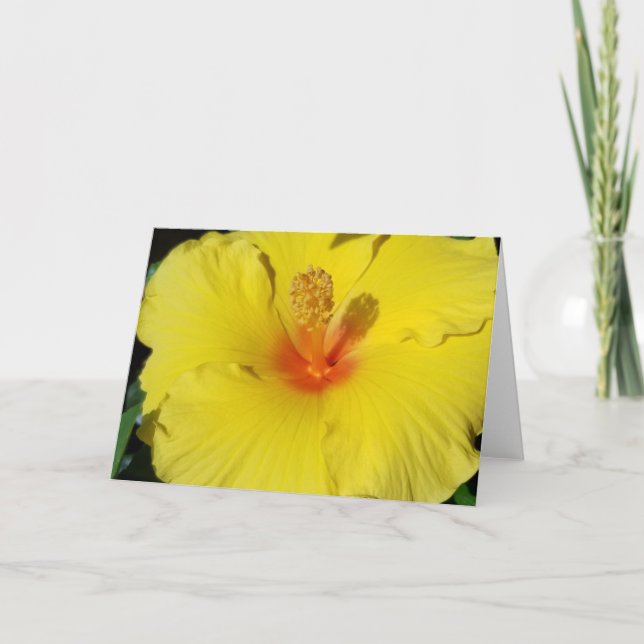 Hibiscus Notecard (Front)