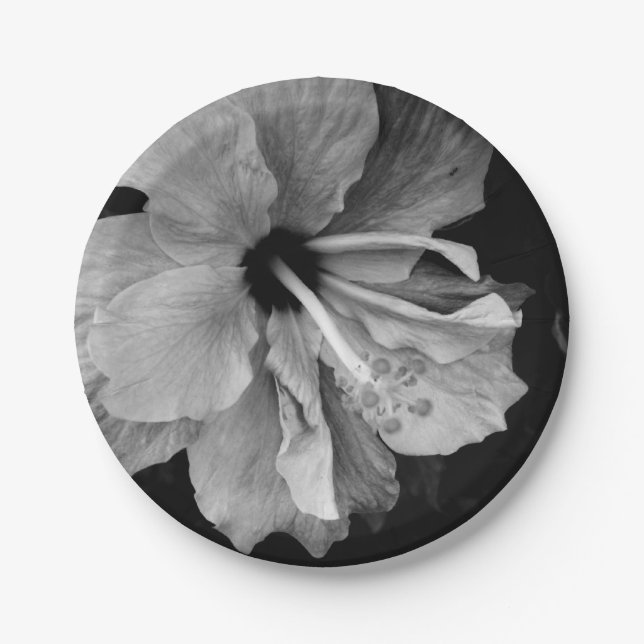 Hibiscus  paper plates (Front)