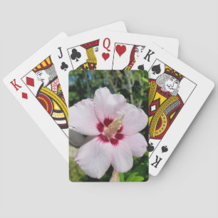 Hibiscus Poker Cards