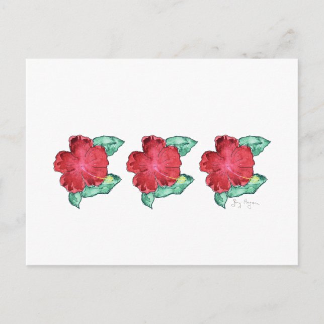 Hibiscus Postcard (Front)