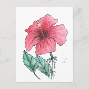 hibiscus postcard