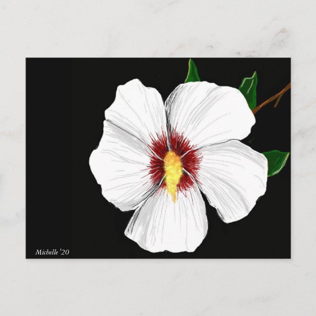 Hibiscus Postcard (Front)