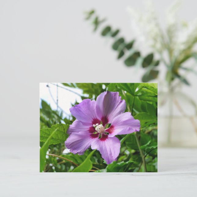 Hibiscus Postcard (Standing Front)