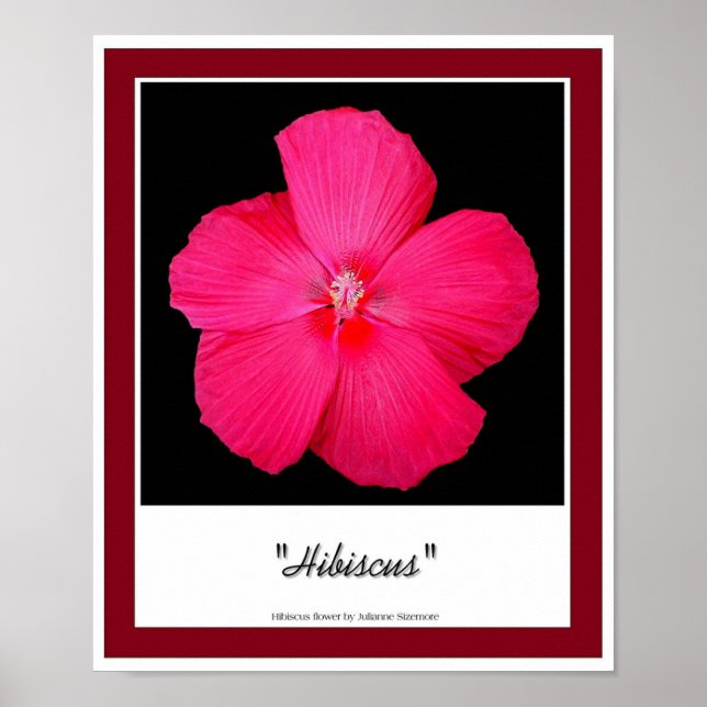 Hibiscus Poster (Front)