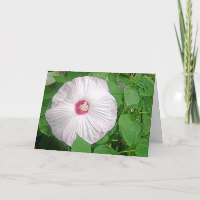Hibiscus Rosa Letterpress Thank You Card (Front)