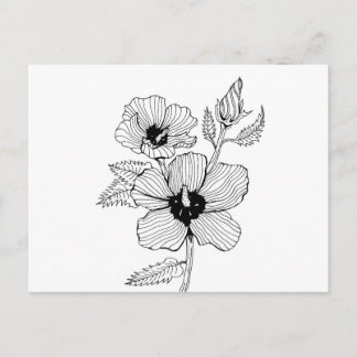 Hibiscus Rose of Sharon Flower Postcard