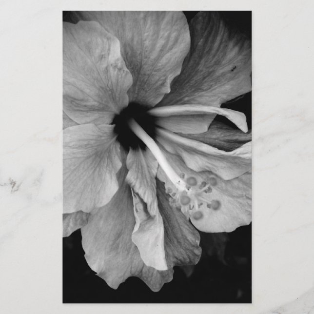 Hibiscus Stationery (Front)