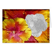 Hibiscus template 1 (Front Horizontal)