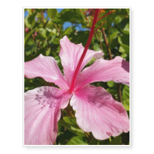 Hibiscus Temporary Tattoos