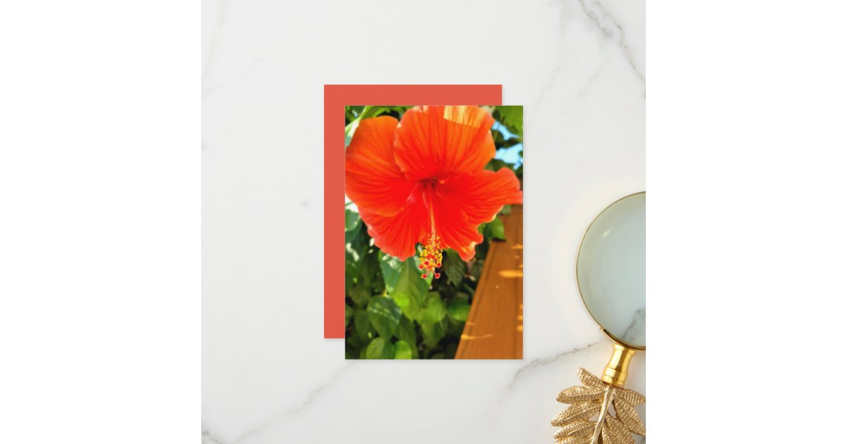 Hibiscus Thank You Card Zazzle 9043