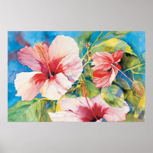 Hibiscus Triad Poster | Zazzle