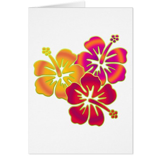 hibiscus trio cards (Front)