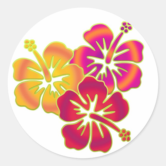 hibiscus trio classic round sticker (Front)