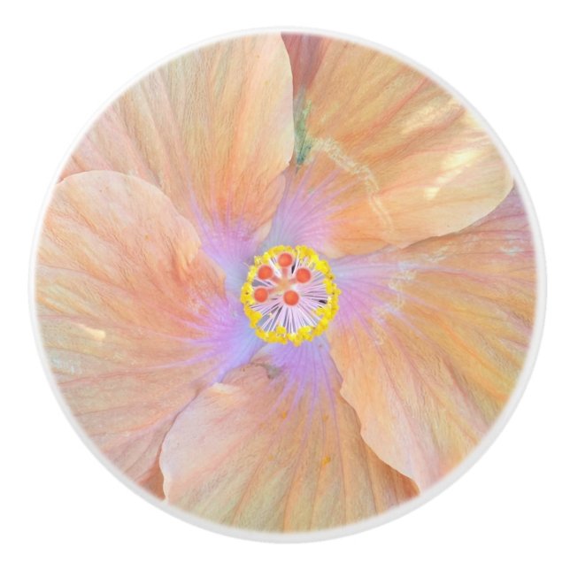 Hibiscus tropical flower pink and gold cute summer ceramic knob (Front)
