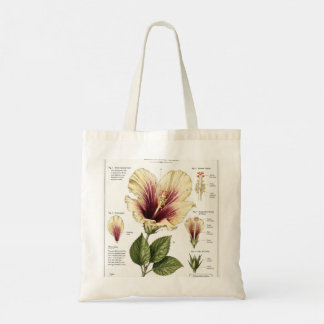 Hibiscus Vintage Floral Anatomy Art Tote Bag