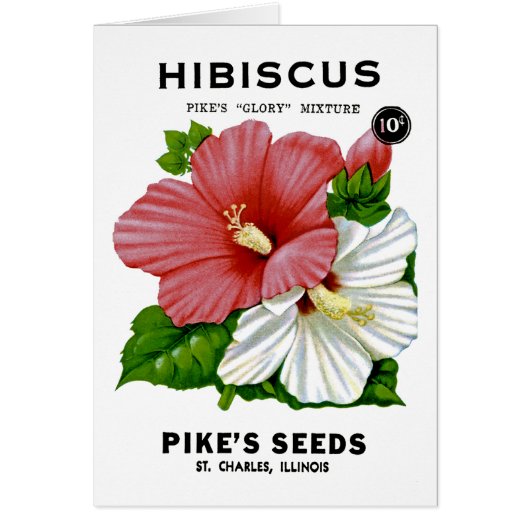 Hibiscus Vintage Seed Packet Cards (Front)
