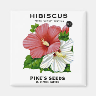 Hibiscus Vintage Seed Packet Magnet