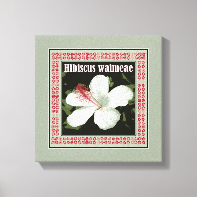 Hibiscus Waimeae Square Canvas Print (Front)