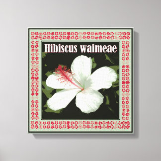 Hibiscus Waimeae Square Canvas Print