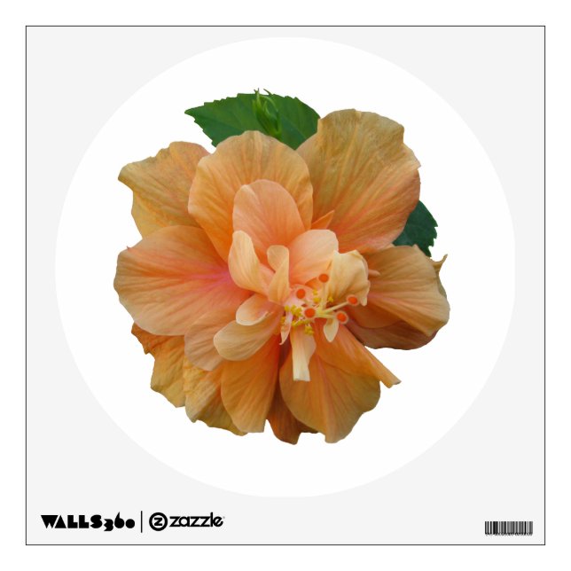 Hibiscus Wall Sticker (Front)