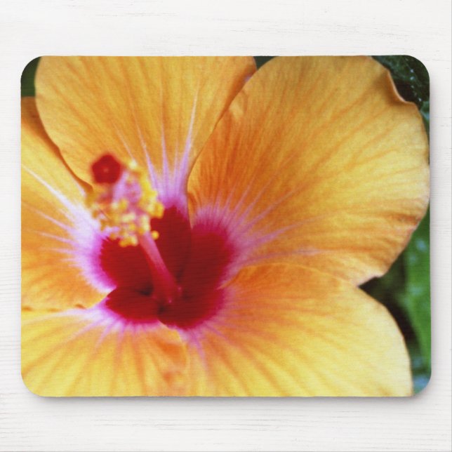 Hibiscus, Yellow-Orange Mouse Pad (Front)