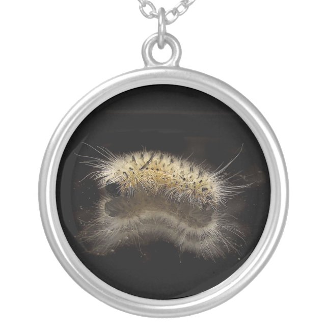 Hickory Tussock Caterpillar Silver Plated Necklace (Front)