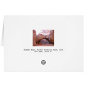 Hidden Arch Cards (Back Horizontal)