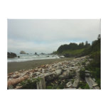 Hidden Beach I at Redwood National Park Canvas Print