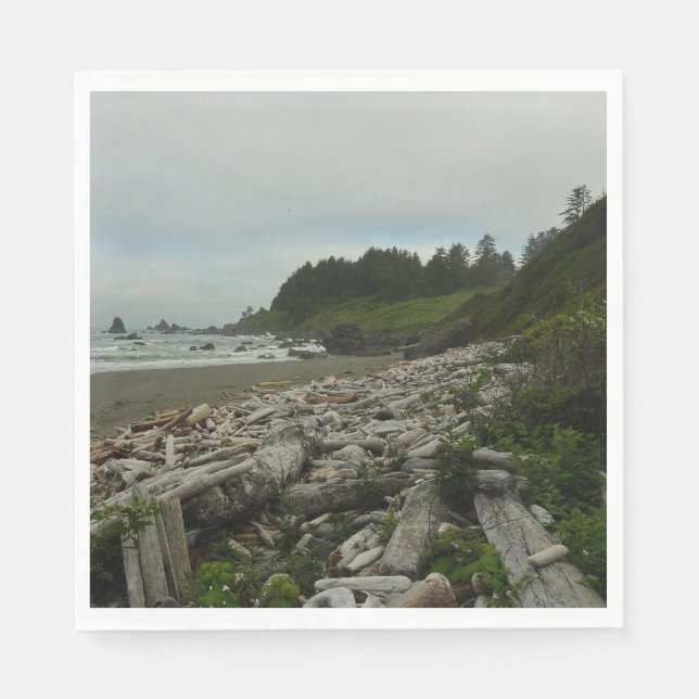 Hidden Beach I at Redwood National Park Napkins (Front)