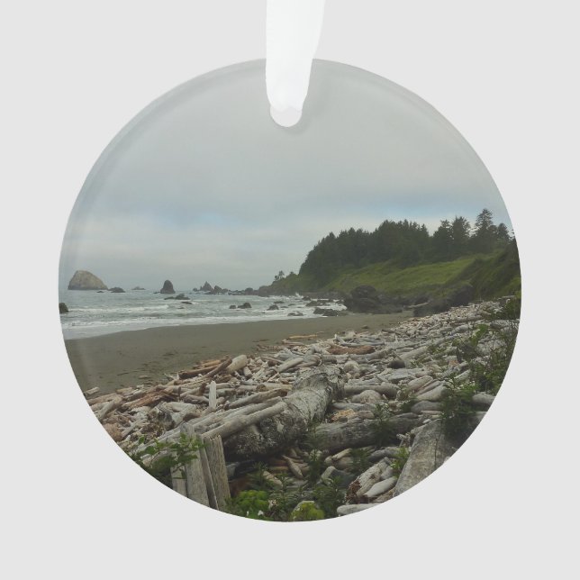 Hidden Beach I at Redwood National Park Ornament (Front)