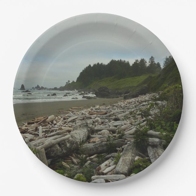 Hidden Beach I at Redwood National Park Paper Plates (Front)
