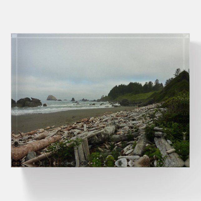Hidden Beach I at Redwood National Park Paperweight (Front)