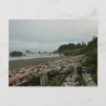 Hidden Beach I at Redwood National Park Postcard