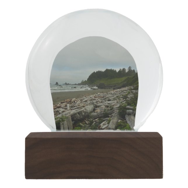 Hidden Beach I at Redwood National Park Snow Globe (Front)
