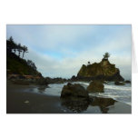 Hidden Beach II at Redwood National Park Cards