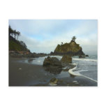 Hidden Beach II at Redwood National Park Postcard