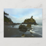 Hidden Beach II at Redwood National Park Postcard