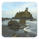 Hidden Beach II at Redwood National Park Square Sticker