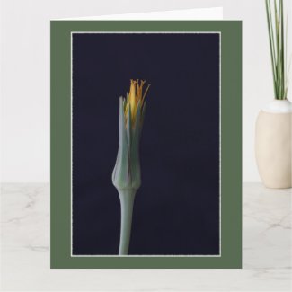 Hidden Beauty Floral Greeting Card in Green Tones