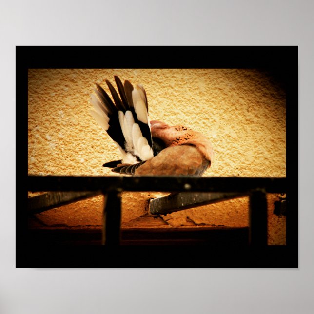 Hidden Beauty Poster (Front)