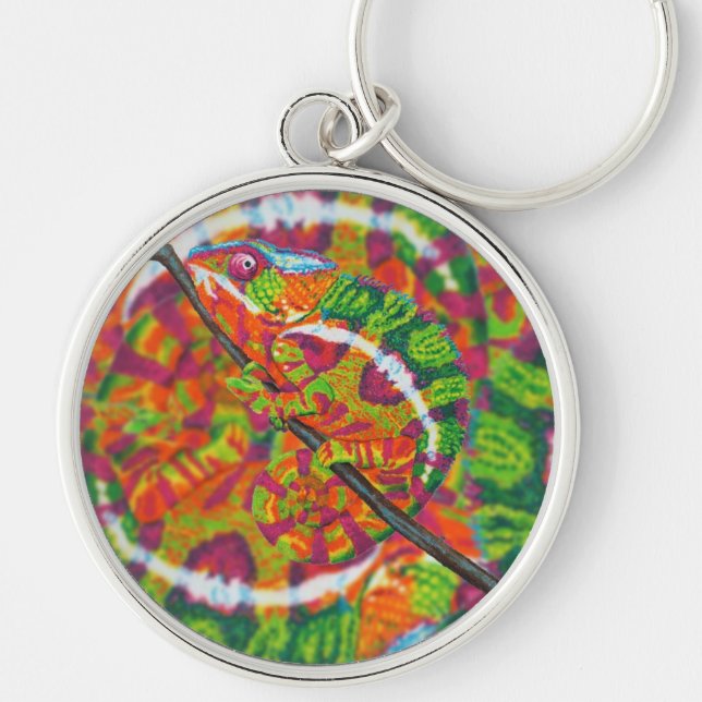 Hidden Chameleon Keychain (Front)