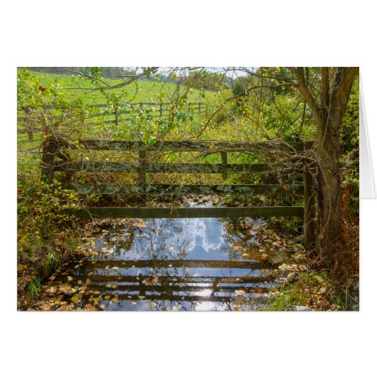 Hidden Creek Cards (Front Horizontal)