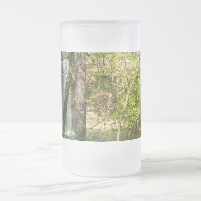 Hidden Falls Frosted Glass Beer Mug (Center)