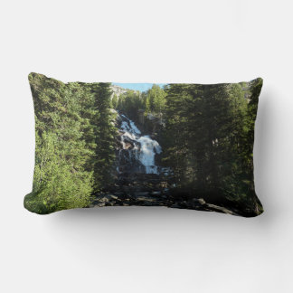 Hidden Falls in Grand Teton National Park Lumbar Pillow