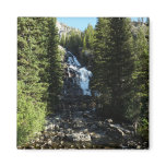 Hidden Falls in Grand Teton National Park Magnet